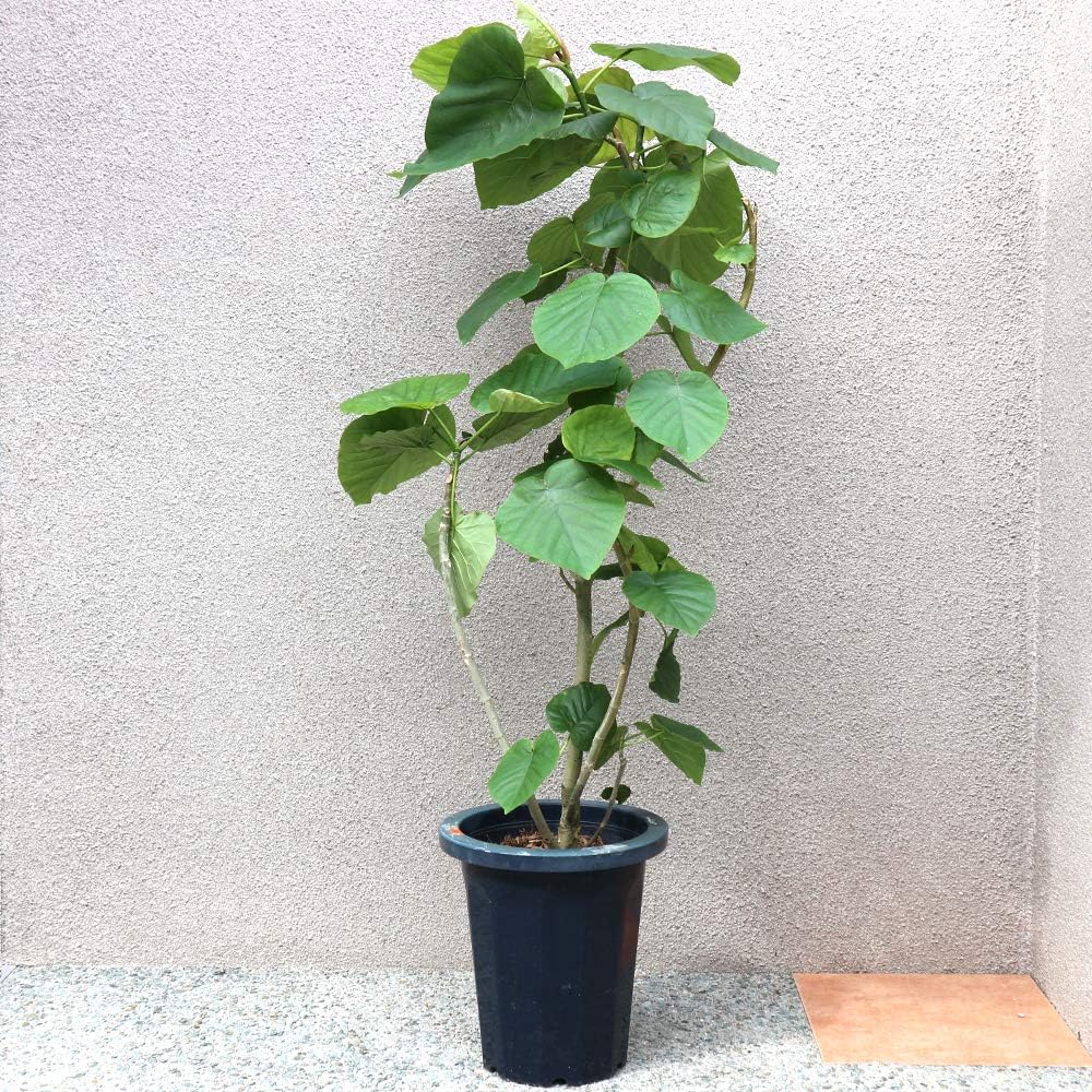 544】リメイク鉢☆デコパージュ三河焼素焼き植木鉢4.5号 底穴大きめ 544】リメイク鉢☆デコパージュ三河焼素焼き植木鉢4.5号 底穴大きめ